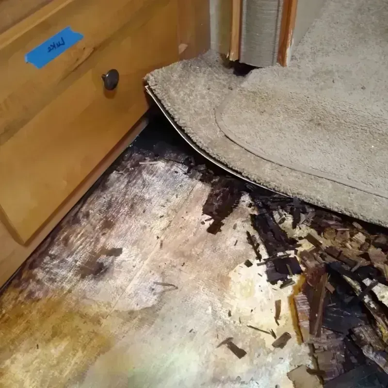 Wood Floor Water Damage in Rosemount, MN